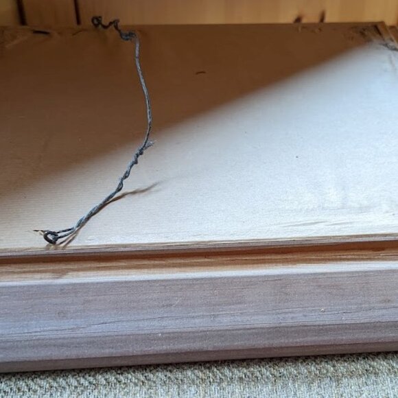 REDUCED Vintage Black and White Framed Photograph of Lucky-the-Boxer - Picture 3 of 8